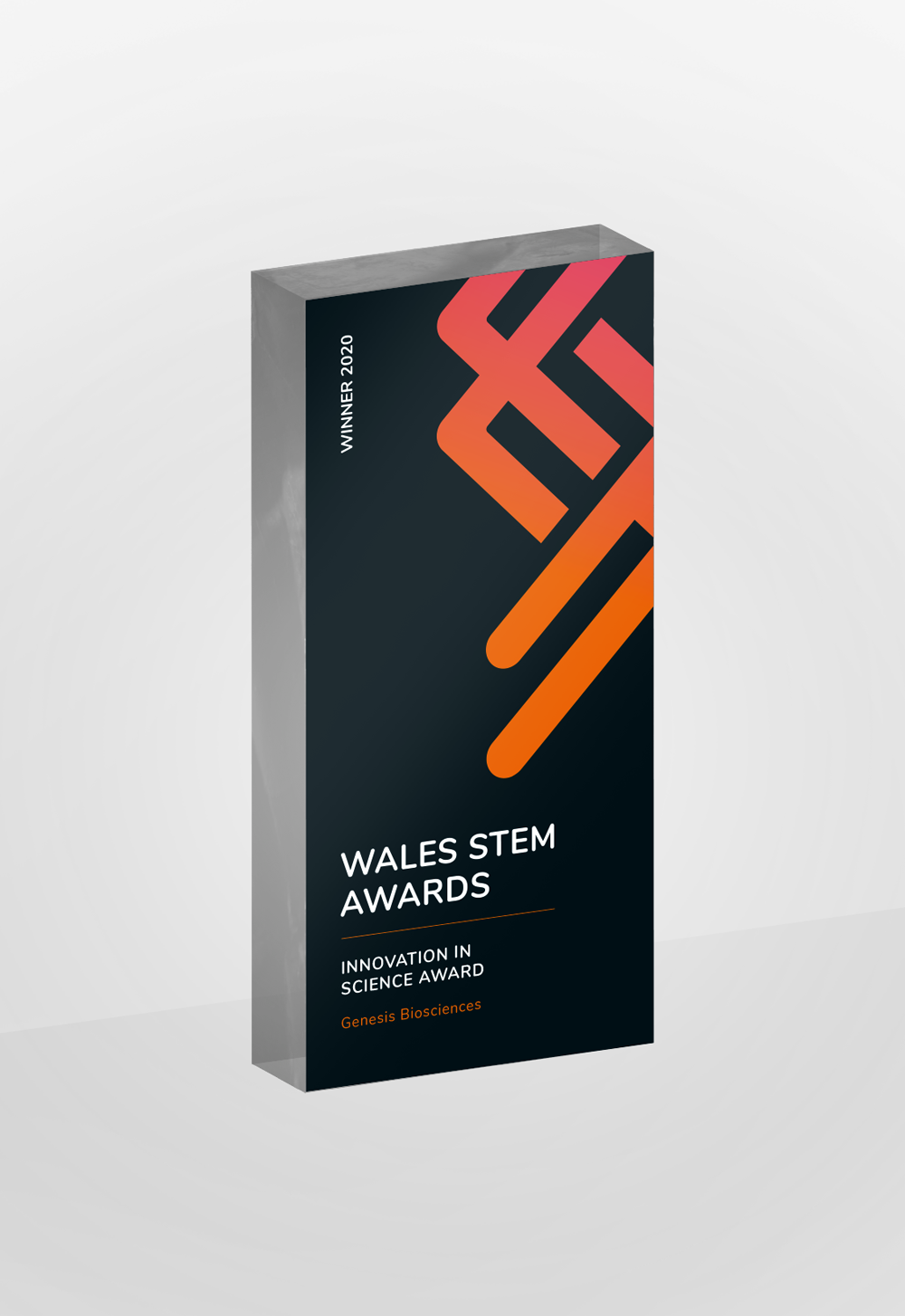 Wales STEM Awards Trophy Photo